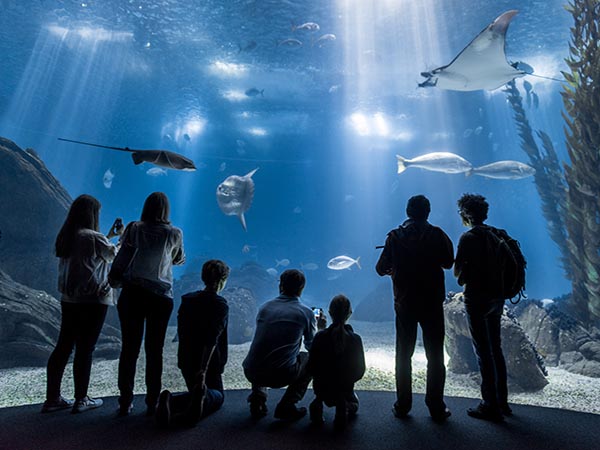 oceanario_de_lisboa